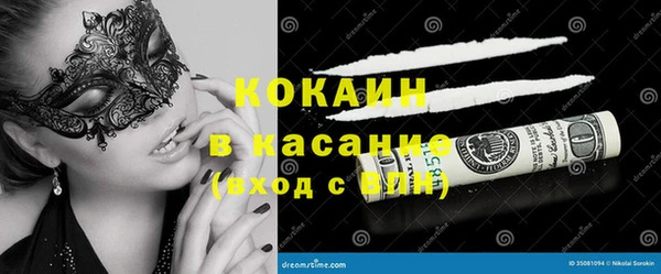 трава Верея