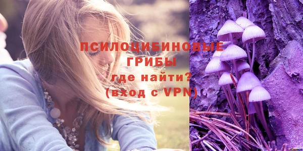 амф Верхний Тагил
