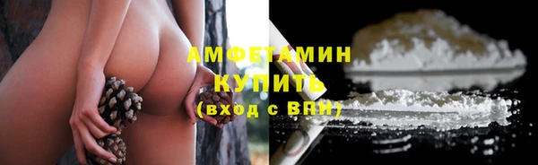 амф Верхний Тагил