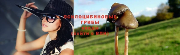 трава Верея