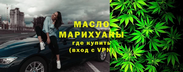 амф Верхний Тагил