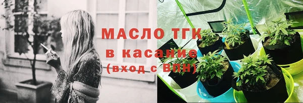 амф Верхний Тагил